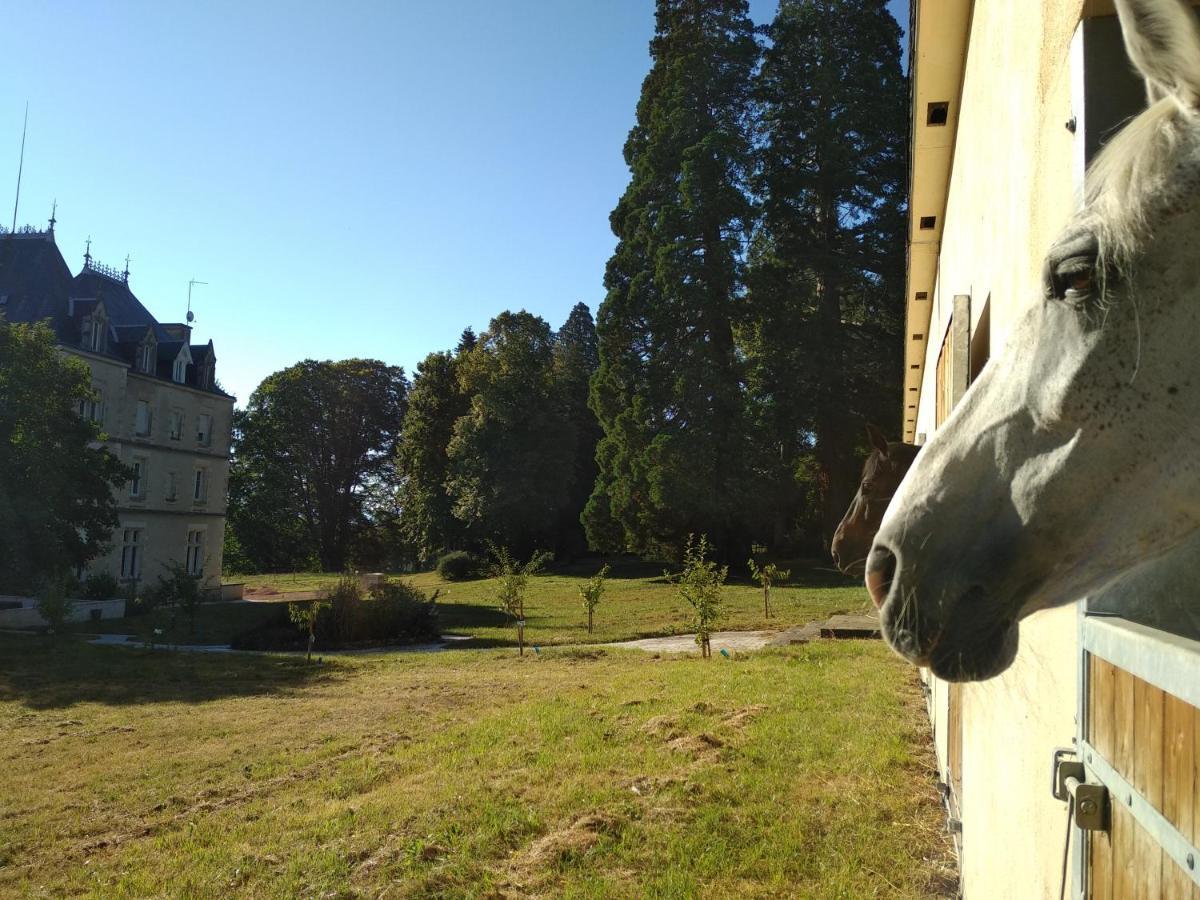 Chateau De St Alyre Hotel Sanssat Exterior photo
